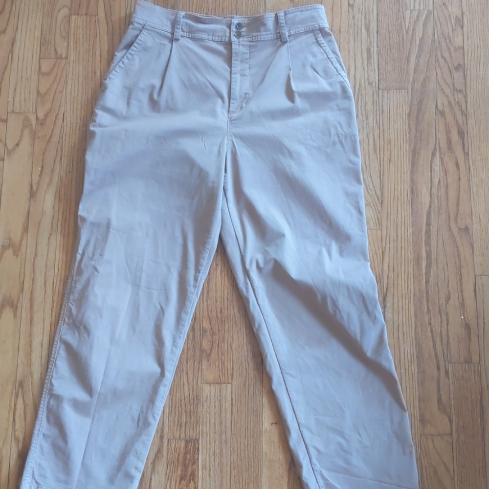 Everlane Pleated pants